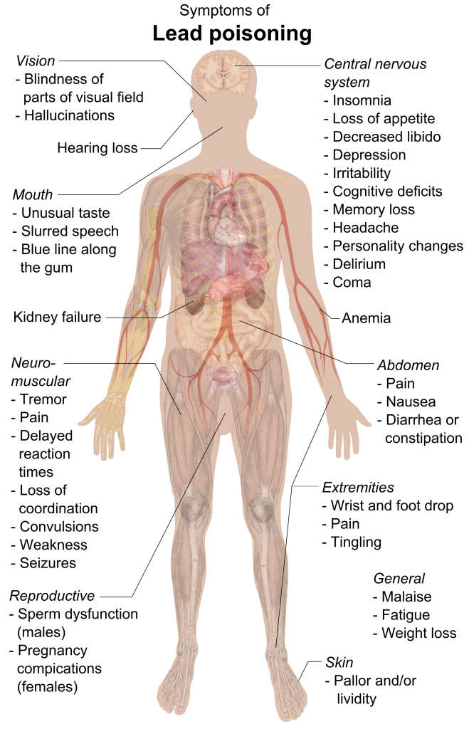 Los Angeles Lead Removal Nielsen Environmental