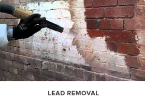 Lead Removal